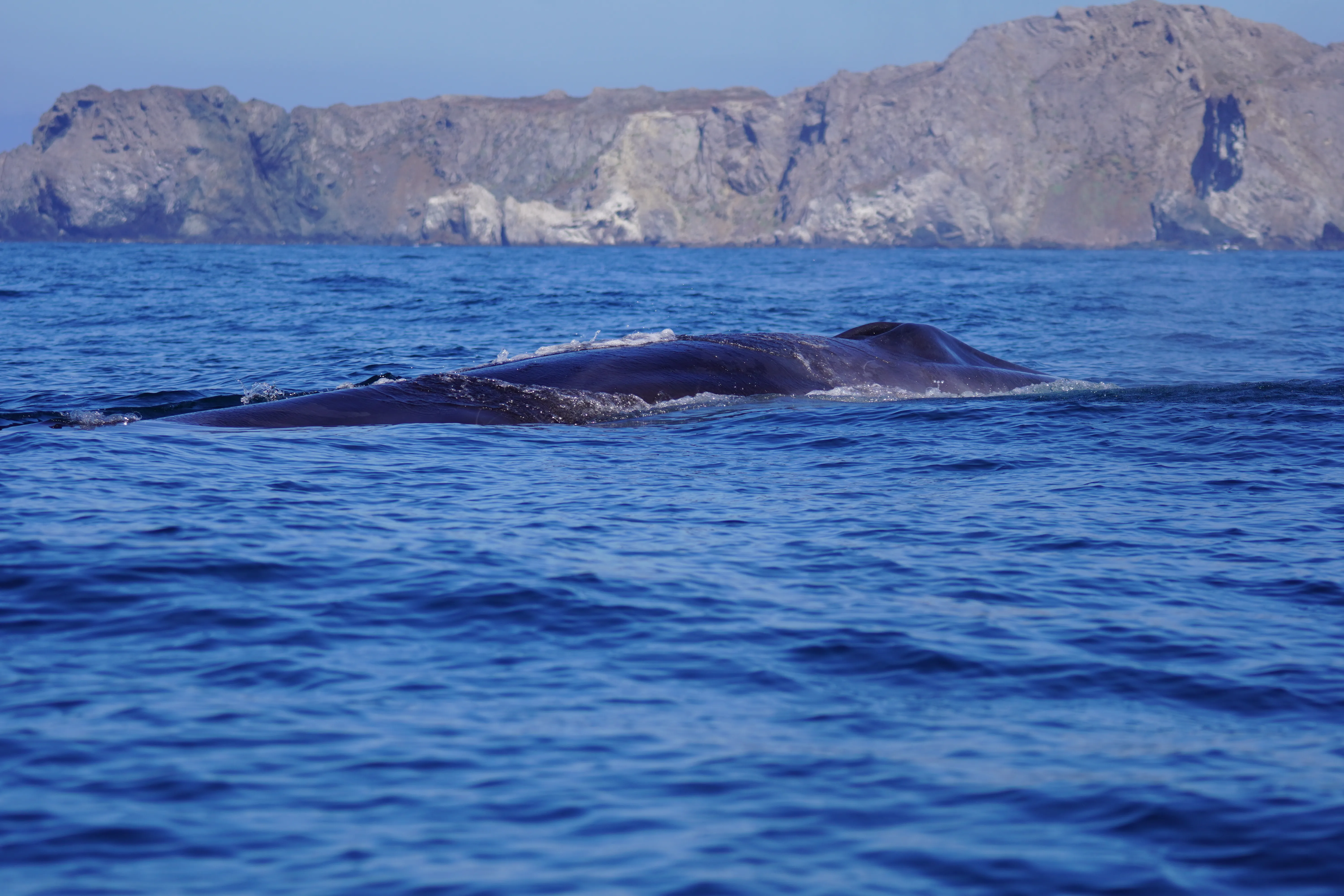 Experiencia única en el mar